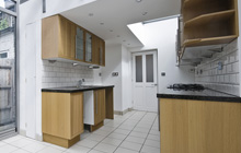 Colemore Green kitchen extension leads